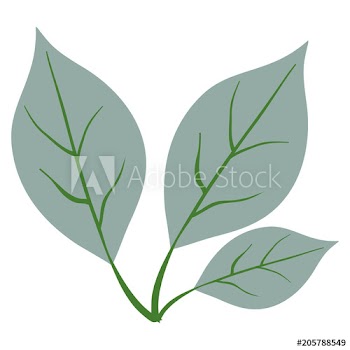 branch with leafs decorative design