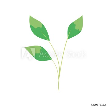 branch with leafs nature ecology design
