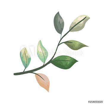 branch with leafs plant