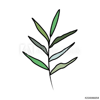 branch with leafs plant