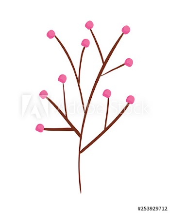 branch with seeds plant