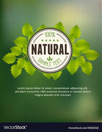 Branches and badge vector image