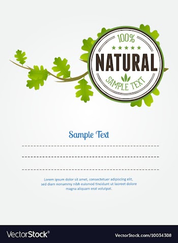 Branches and badge vector image