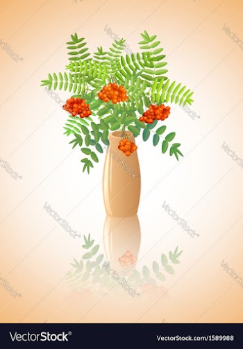 Branches of rowan vector image