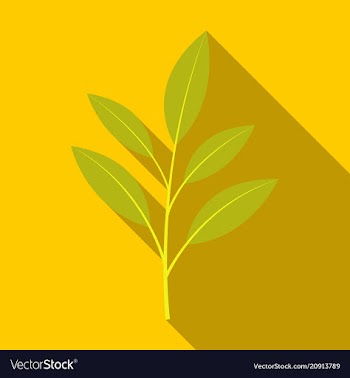 Branches silhouette isolated on color background vector image