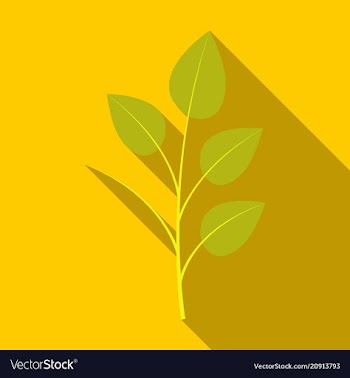 Branches silhouette isolated on color background vector image