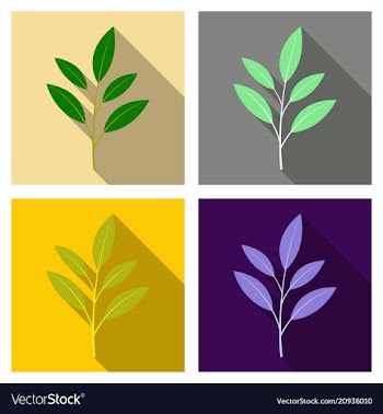 Branches silhouette isolated on color background vector image