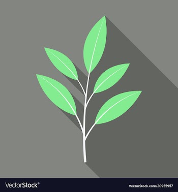 Branches silhouette isolated on color background vector image