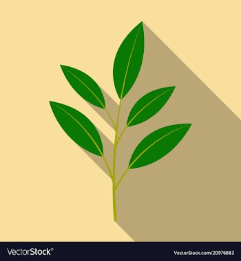 Branches silhouette isolated on color background vector image