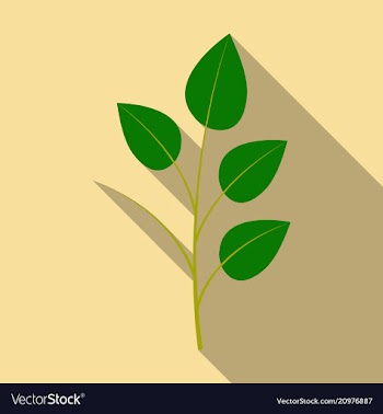 Branches silhouette isolated on color background vector image