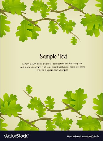 Branches vector image