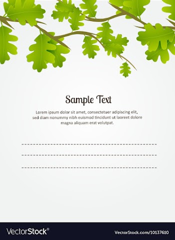 Branches vector image