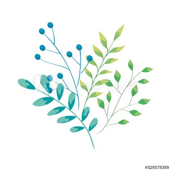 branches with leafs nature ecology design