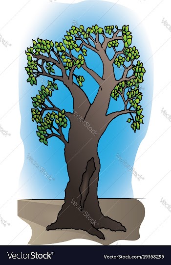 Branchy tree with hollow trunk vector image