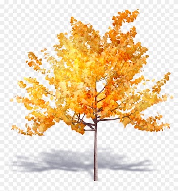 Brand New Autumn Trees Are Available On Polantis Platform - Autumn Tree