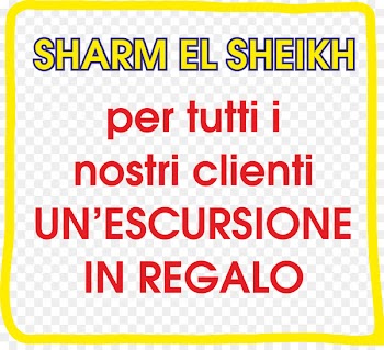 Brand, Point, Line, Text, Yellow PNG