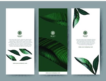 Branding Packaging tropical plant leaf summer pattern background, for spa resort luxury hotel, logo banner voucher, fabric pattern, organic texture. vector illustration