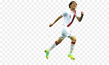 Brazil national football team UEFA Euro 2012 2014 FIFA World Cup Peru national football team - football 