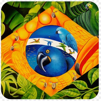 Brazil Riquezas do Brasil Wealth Helio Paiva Flag - brazil 