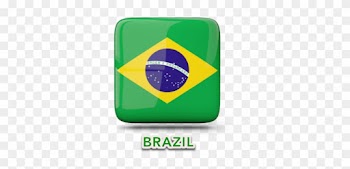 Brazil Soccer Tours - Brazil Flag