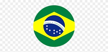 Brazil Static Cling - Brazil Flag Bandeira Brasileira Brasil Money Box