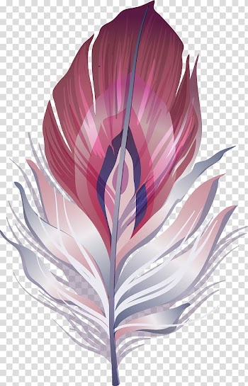 Brazilian Carnival Mask , Exquisite color feather transparent background PNG clipart