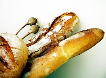 breadCN_4305.jpg