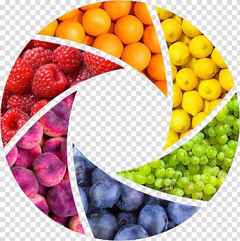 Breakfast cereal Fruit Vegetable Juicer Color wheel, Fruits ring transparent background PNG clipart