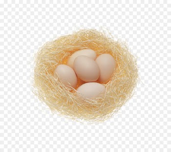 Breakfast Chicken egg Nutrition Health - Nest egg 