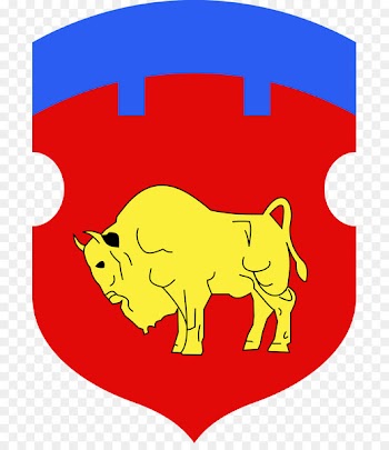 Brest Grodno Region Flag of Belarus Flag of Flanders - flag 