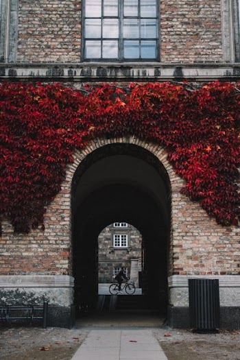brick archway leading to a man riding bicycle