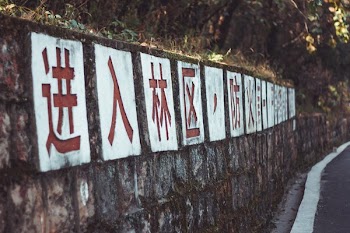 Brick Wall Sign Forest Fire Warning