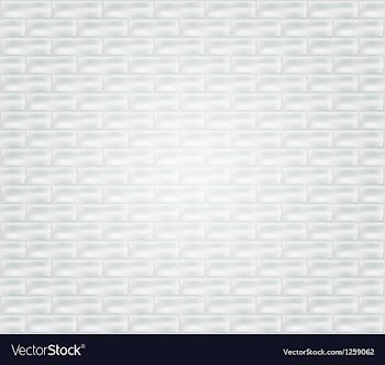 Brick wall vector image