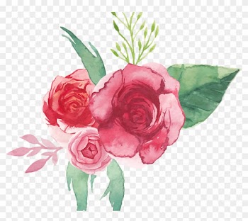 Bridal - Red Rose Watercolor Png