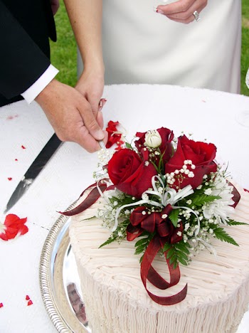 Bride and groom cutting the wedding cake