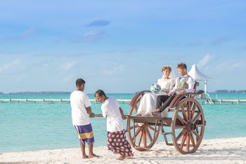 Bride and Groom Riding Carrier