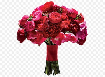 Bride Flower bouquet Wedding dress - Bride holding a bouquet of red flowers 