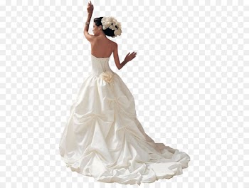 Bride Marriage Wedding - Bride back 