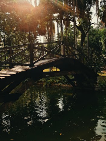 Bride Over A River