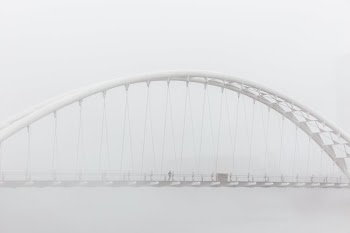 Bride Side Through Fog