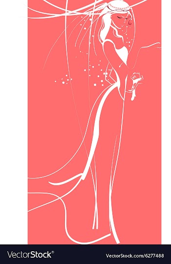 Bride vector image