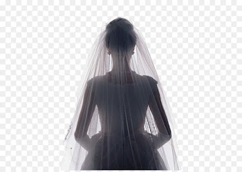 Bridegroom Contemporary Western wedding dress - Just be your bride 