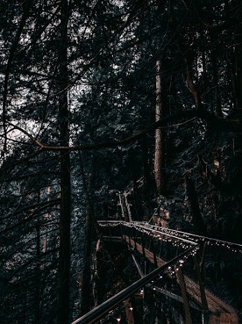 Bridge Along The Side Of Mountain