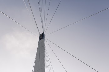 Bridge Cables Architecture Free Photo 