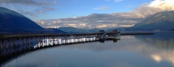 Bridge in the Middle of Water
