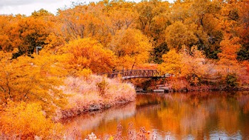 Bridge Over A River