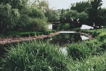 Bridge Over River