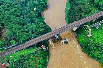 Bridge Over River And Trees 