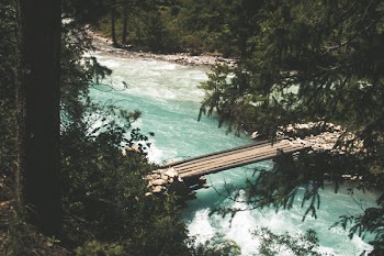 Bridge over the River Near Trees