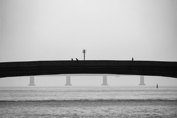 Bridge - Rio de Janeiro, Brasil.